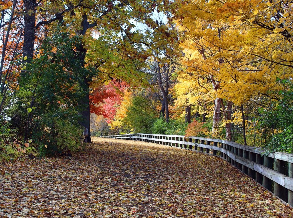 Telulah Park in Appleton, WI