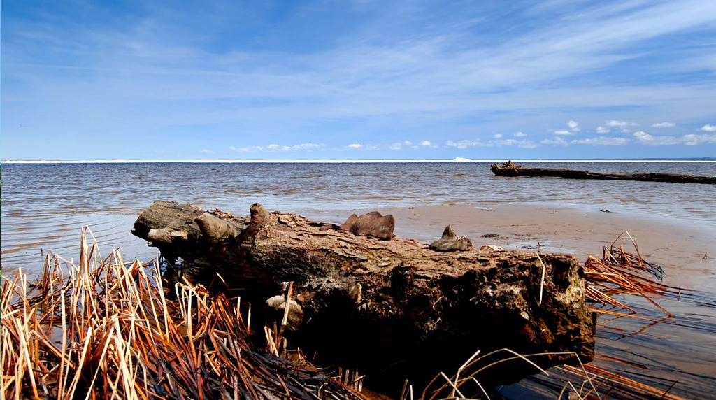 An image of Suamico, Wisconsin.